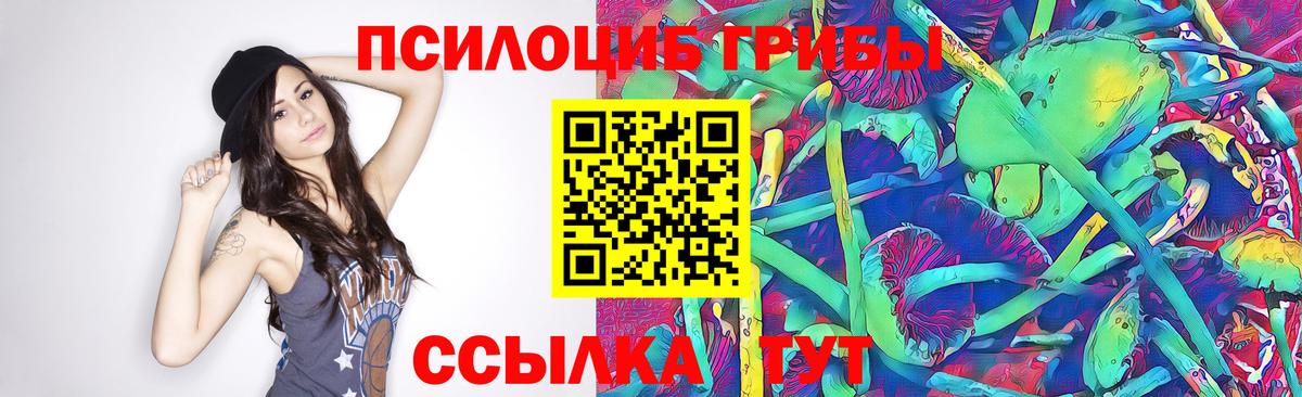 Семёнов  Галлюциногенные грибы Cubensis  Вход с VPN 