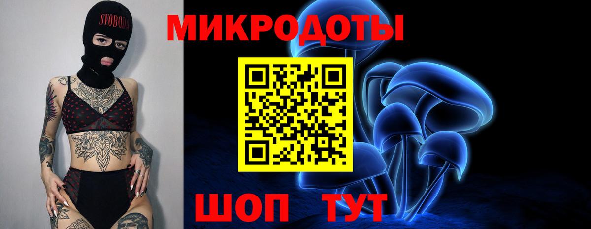 Псилоцибиновые грибы Psilocybe Семёнов
